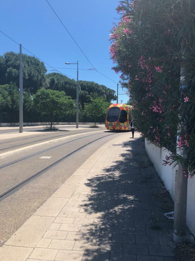 Appartement Mimosa, Tram 2, Parking Montpellier Eksteriør billede